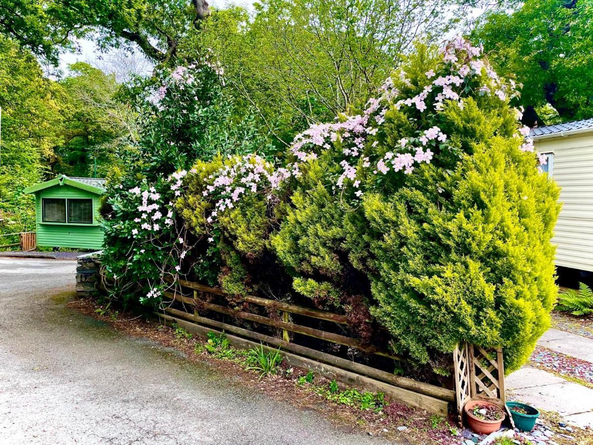 Snowdonia Holidays Caravan Hire - Aberdunant Park - 34 The Green Prenteg Exterior foto