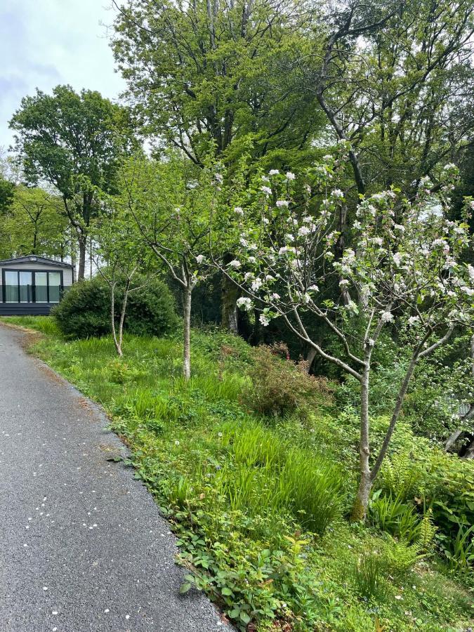 Snowdonia Holidays Caravan Hire - Aberdunant Park - 34 The Green Prenteg Exterior foto